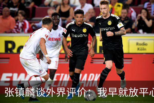 张镇麟谈外界评价：我早就放平心态了 不可能让所有人都喜欢自己