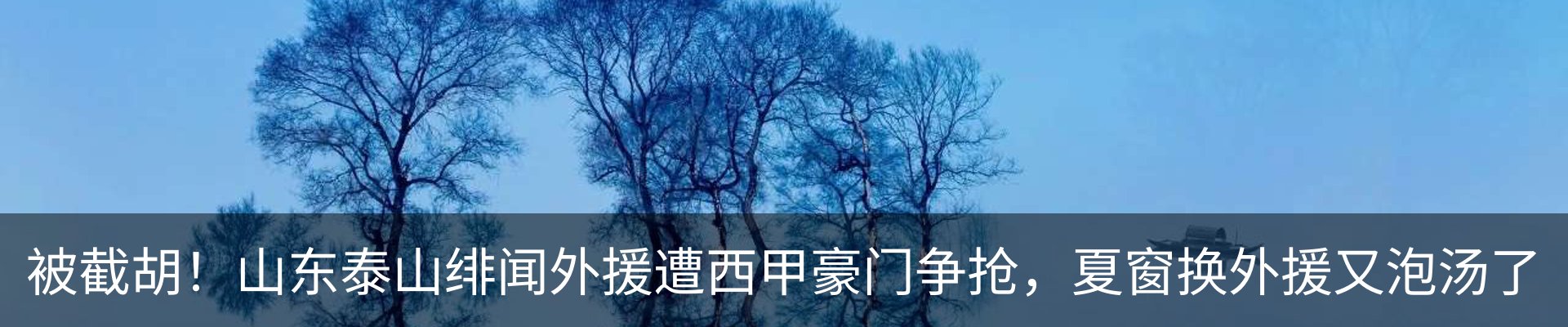 行业资讯